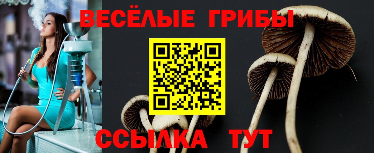 Скопин  Галлюциногенные грибы Magic Shrooms  Вход с VPN 